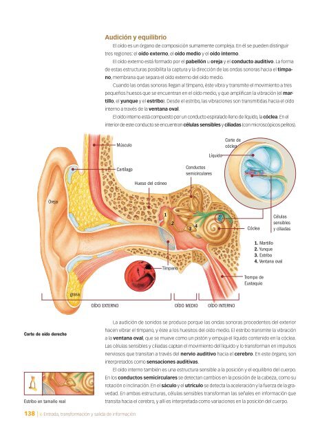 CAPÍTULO 6: Entrada, transformación y salida de información