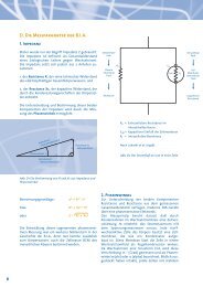 D. Die Messparameter der B.I.A. - Data-input.de