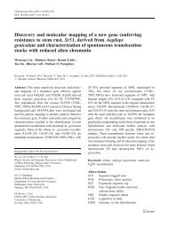 Discovery and molecular mapping of a new gene conferring ...