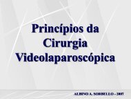 Princípios da Cirurgia Vídeolaparoscópica