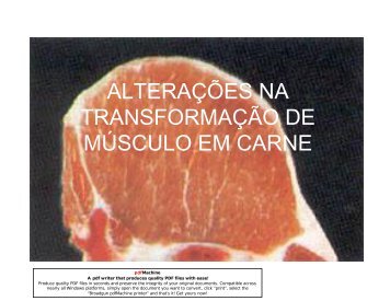 alterações na transformação de músculo em carne - Campos e Carrer