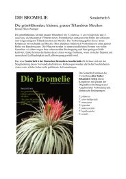 Download - Die deutsche Bromelien-Gesellschaft eV