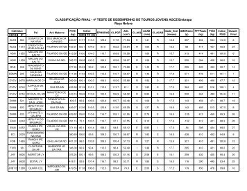 classificação final Nelore