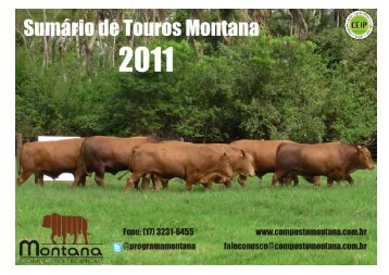 Sumário de Touros Montana 2011 - Composto Tropical