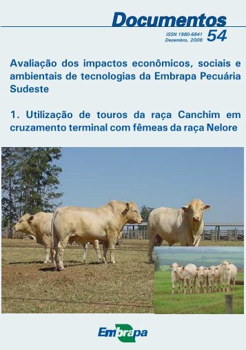 Utilização de touros da raça Canchim em cruzamento - Infoteca-e ...