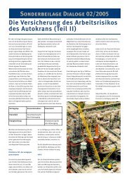 Arbeitsrisiko Autokran II - Deas.de