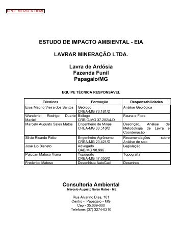 RELATÓRIO DE IMPACTO AMBIENTAL - RIMA - SIAM