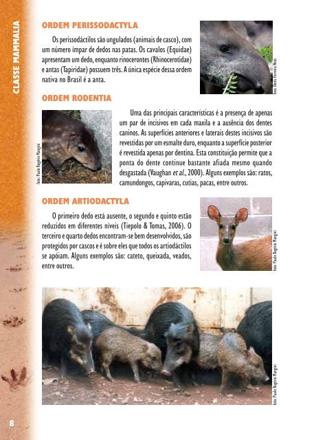 Manual de Rastros da Fauna Paranaense - Rede Pró-Fauna ...