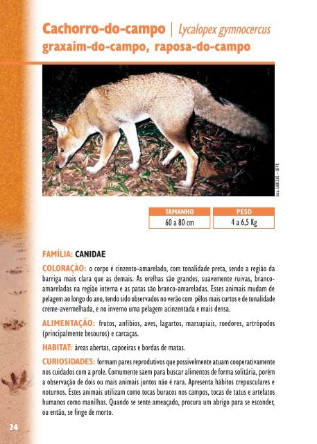 Manual de Rastros da Fauna Paranaense - Rede Pró-Fauna ...