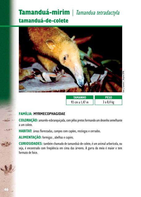 Manual de Rastros da Fauna Paranaense - Rede Pró-Fauna ...