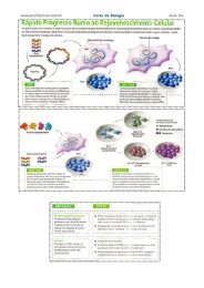 Aula 04.pdf - Prof. Dorival