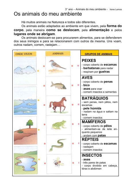 Os animais do meu ambiente - Alice-lu.org