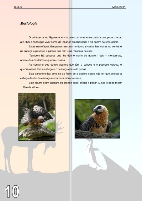 Descarregue a versão em pdf - Colégio Monte Flor