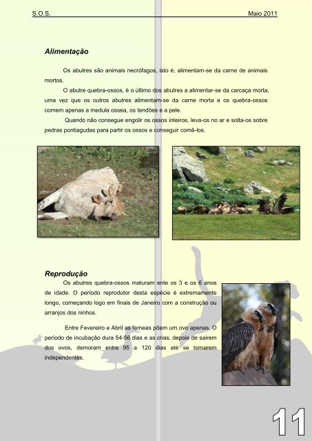 Descarregue a versão em pdf - Colégio Monte Flor