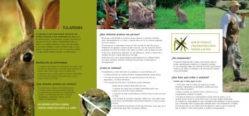 TULAREMIA - Innovación e Xestión da Saúde Pública