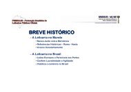 BREVE HISTÓRICO - DNRC