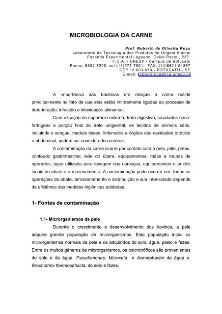 Operacao Carne Forte PDF