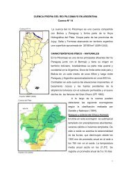 14 parte argentina de la cuenca del rio pilcomayo - Subsecretaría ...