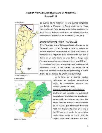 14 parte argentina de la cuenca del rio pilcomayo - Subsecretaría ...