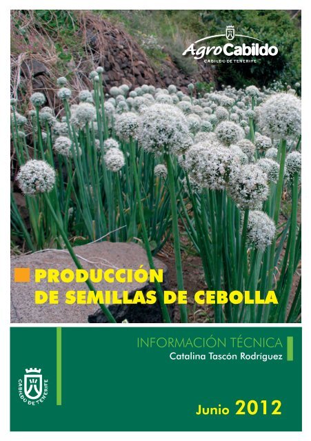 PRODUCCIÓN DE SEMILLAS DE CEBOLLA - AgroCabildo