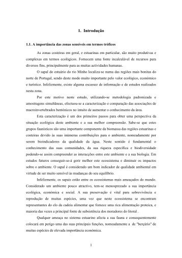 TESE Thais Picano 2007.pdf - Repositório Aberto da Universidade ...