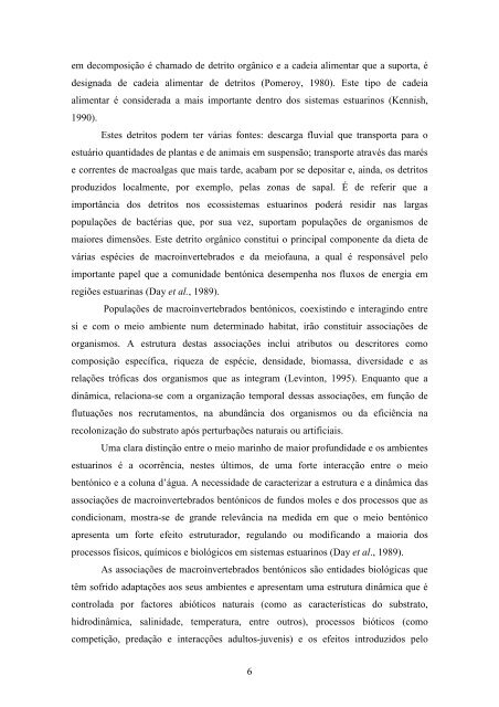 TESE Thais Picano 2007.pdf - Repositório Aberto da Universidade ...