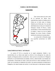 CUENCA DEl RÍO DESEADO - Subsecretaría de Recursos Hídricos