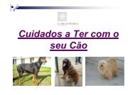 Cuidados a Ter com o seu Cão - Câmara Municipal de São João da ...