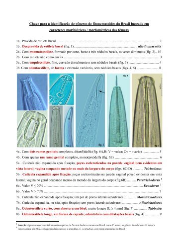 Chave para identificação de gêneros de fitonematoides do Brasil