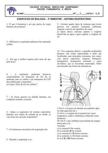 Exercicios Sistema Respiratório - Colégio Estadual Marcelino ...