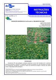 INSTRUÇÕES TÉCNICAS - Embrapa Acre, 30 anos fazendo ciência