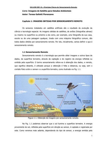 Livro: Imagens de Satélite para Estudos Ambientais