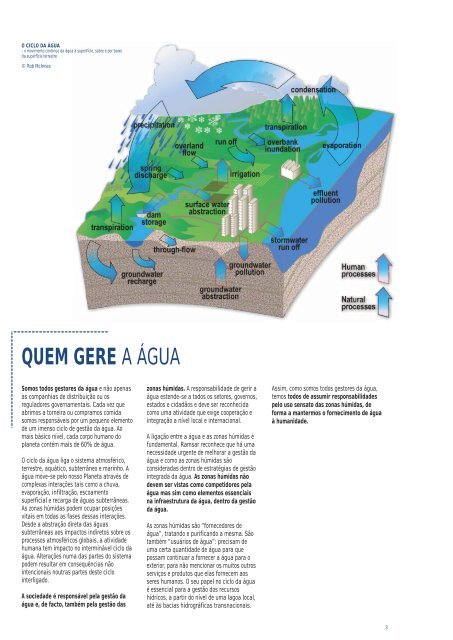 as zonas húmidas ea gestão da água - Ramsar Convention on ...