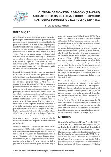 O dilema da Monstera adansonii (Araceae): alocar recursos - USP