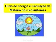 Fluxo de Energia nos Ecossistemas - Portefolionaturas.net