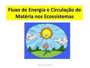 Fluxo de Energia nos Ecossistemas - Portefolionaturas.net