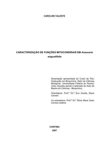 Caroline Valente dissertação de mestrado - Universidade Federal ...