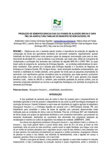 produção de sementes básicas das cultivares ... - Embrapa Algodão