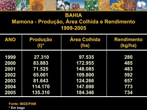 Oleaginosas na Bahia - Seagri