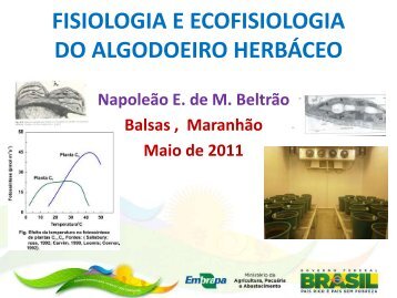 Fisiologia e ecofisiologia (Napoleão) - Embrapa Algodão