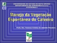 Aula 10 - Manejo vegetação espontânea - Agroecologia