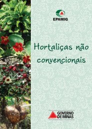 Hortaliças não convencionais / EPAMIG-DPPU - Portal Conselhos MG