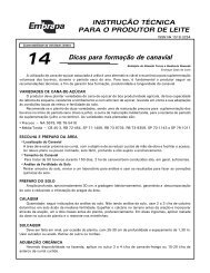 Dicas para formação de canavial - Embrapa Gado de Leite