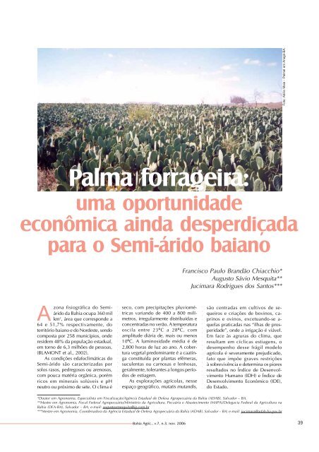 Palma forrageira: uma oportunidade econômica ainda - Seagri