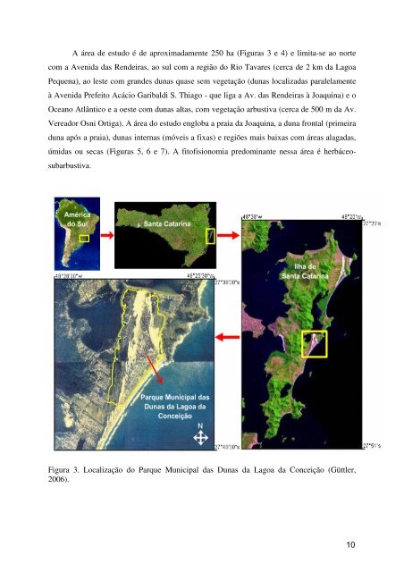 disserthais 1 - Repositórios Digitais da UFSC - Universidade ...