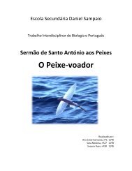 O Peixe-voador - Bibliblog