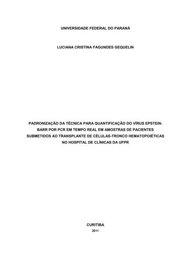 Dissertacao de Mestrado 3 - Copia.pdf - Universidade Federal do ...