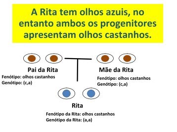 A Rita tem olhos azuis, no entanto ambos os progenitores ...