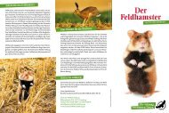 Der Feldhamster - Deutsche Wildtier Stiftung