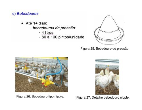 galpão postura - UFG